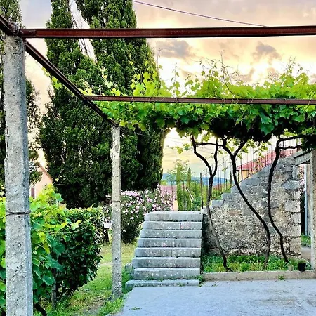 Daire Boljevic Podgoriçe