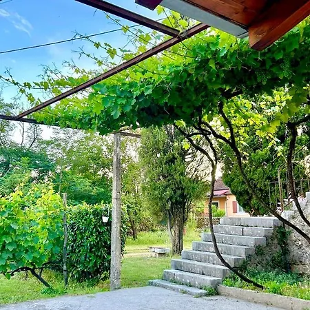 Apartment Boljevic Podgorica