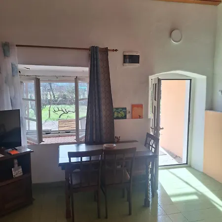 Boljevic * Podgorica