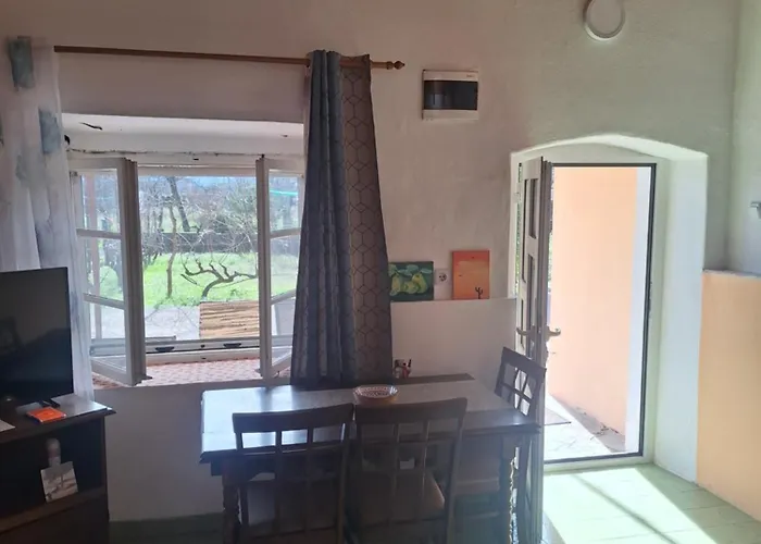 Boljevic * Podgorica